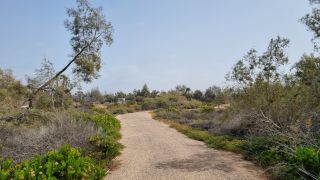 2023-02-Parque_Tony_Gallardo-44.jpg